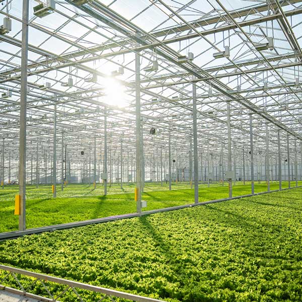 Greenhouse-HSS-Agro-A003